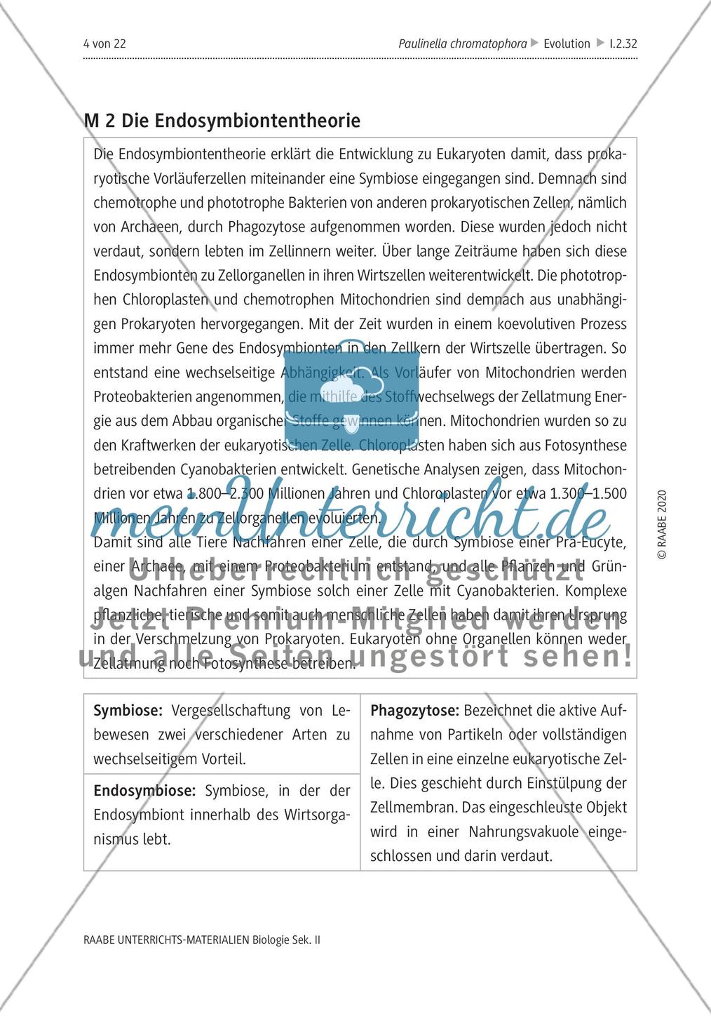 Die Endosymbiontentheorie Preview 1