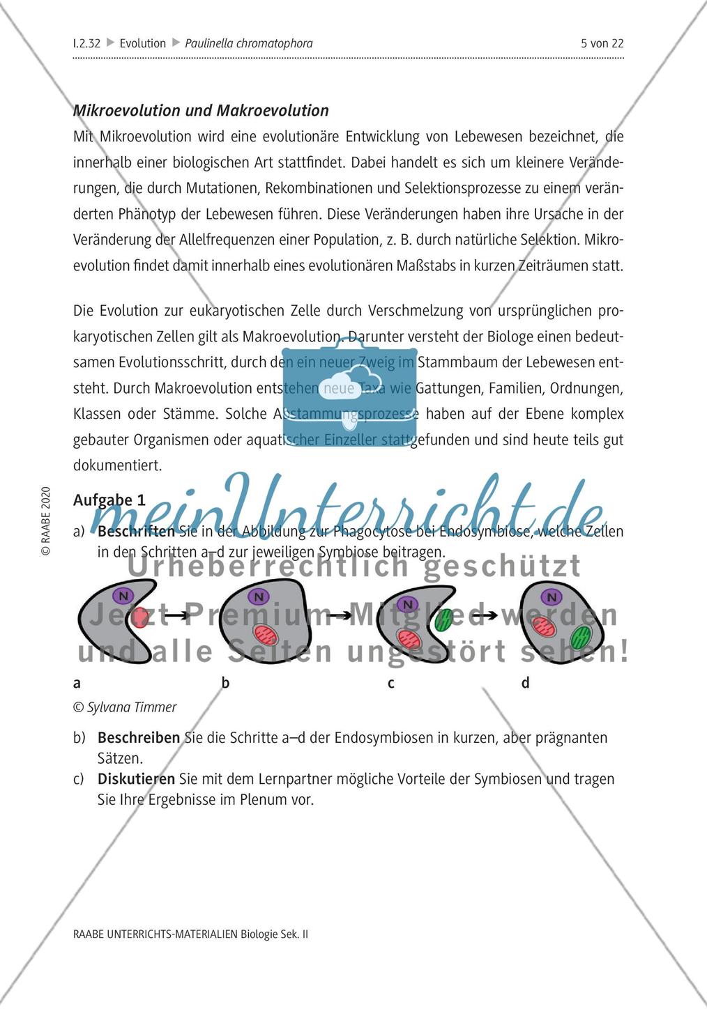 Die Endosymbiontentheorie Preview 2