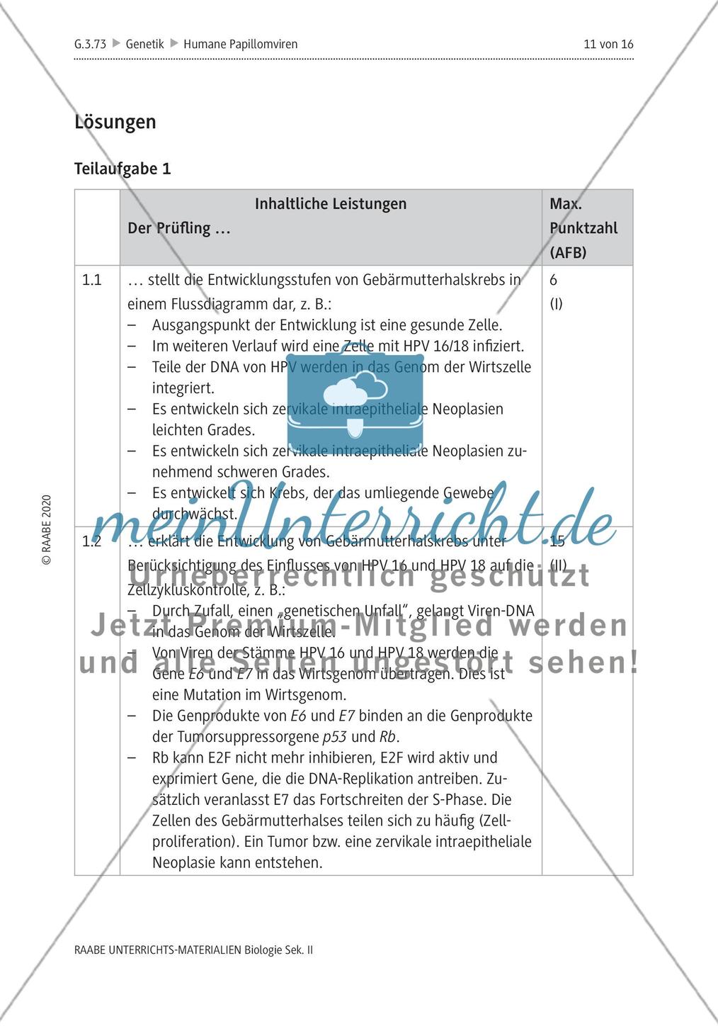 Gebärmutterhalskrebs durch Humane Papillomviren Preview 15