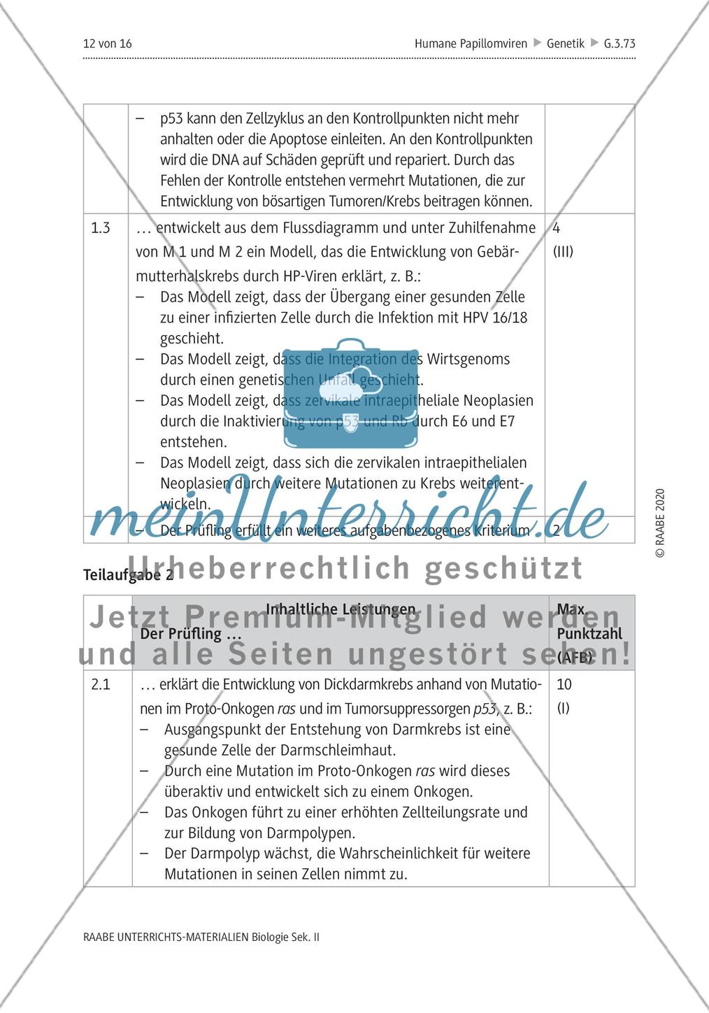 Gebärmutterhalskrebs durch Humane Papillomviren Preview 16