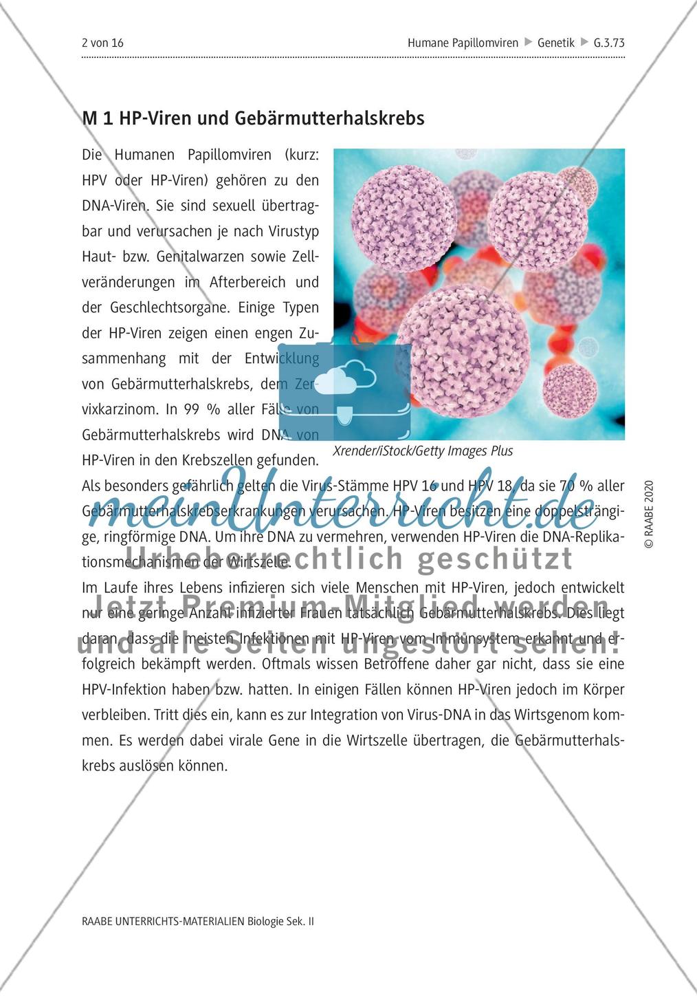 Gebärmutterhalskrebs durch Humane Papillomviren Preview 6