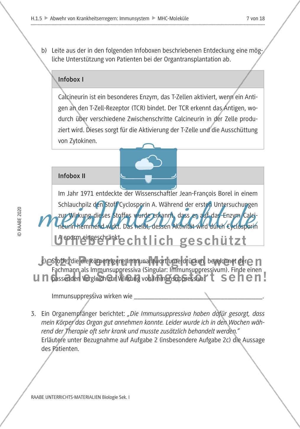 MHC-Komplex und Probleme bei der Organtransplantation Preview 2