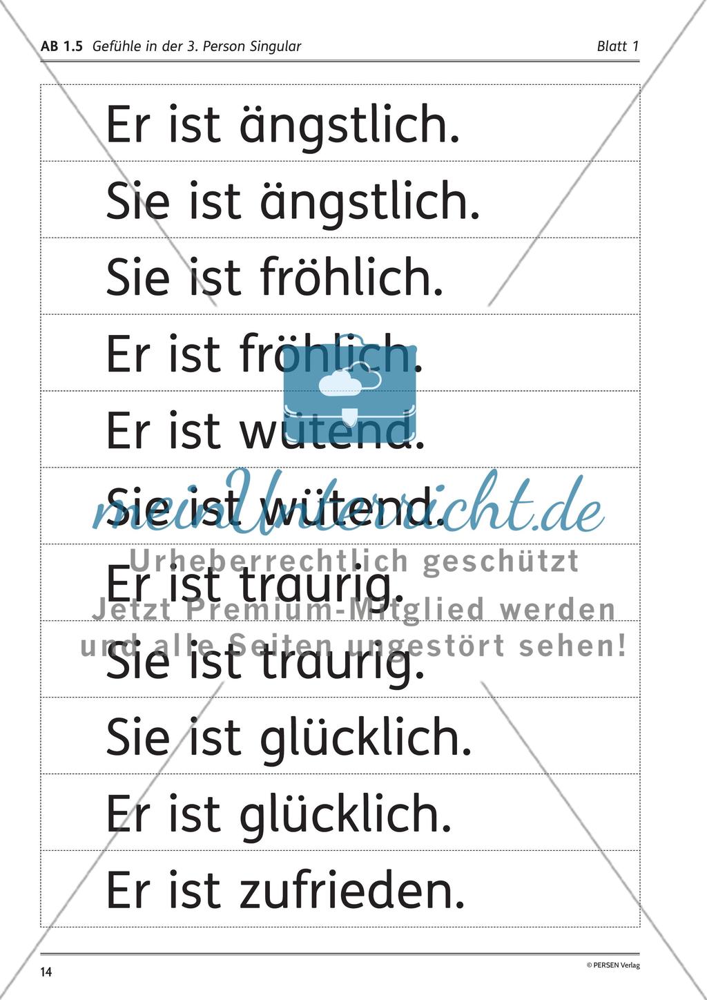 Unterrichtsreihe: Das Gesicht als Ausdrucksort von Gefühlen Preview 8