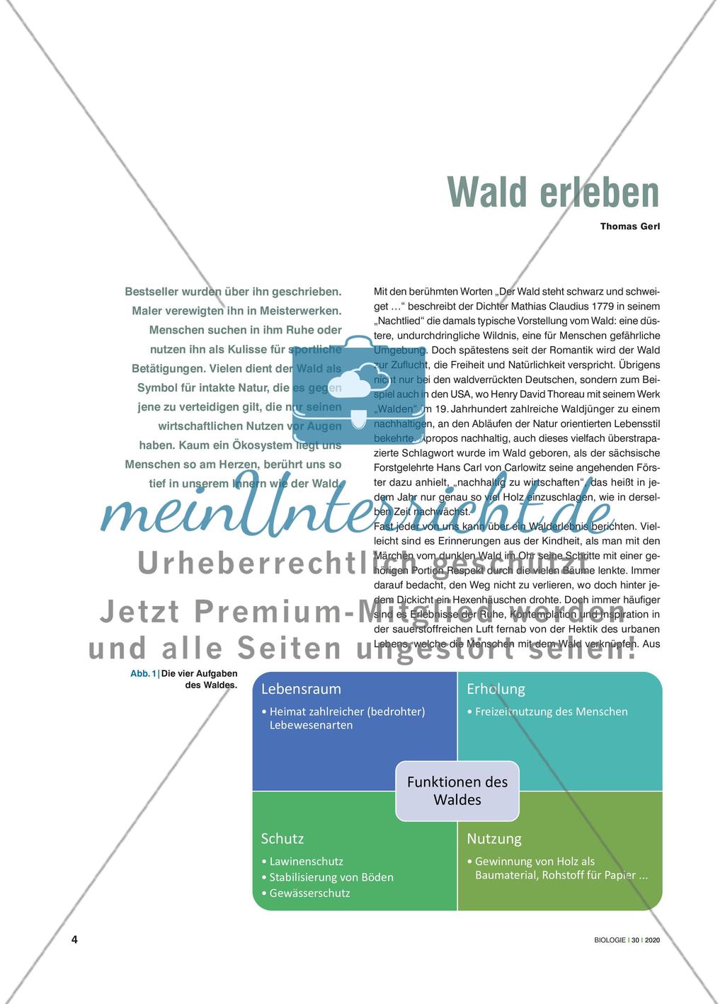 Wald erleben Preview 1
