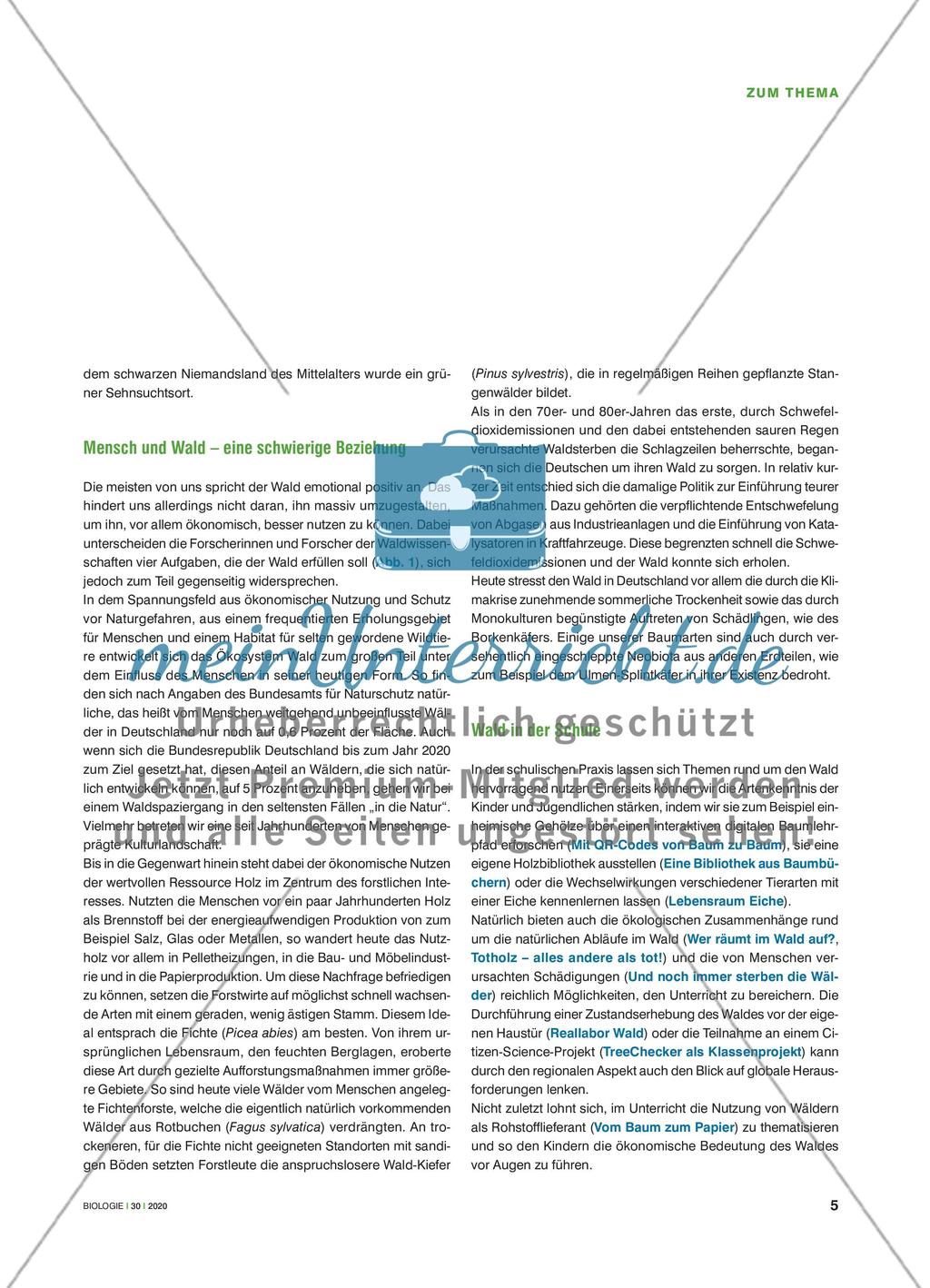 Wald erleben Preview 2