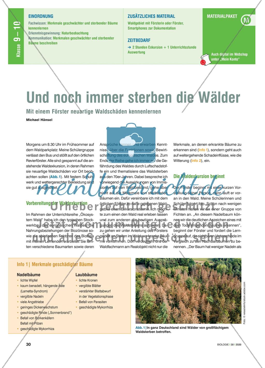 Und noch immer sterben die Wälder - Mit einem Förster neuartige Waldschäden kennenlernen Preview 1
