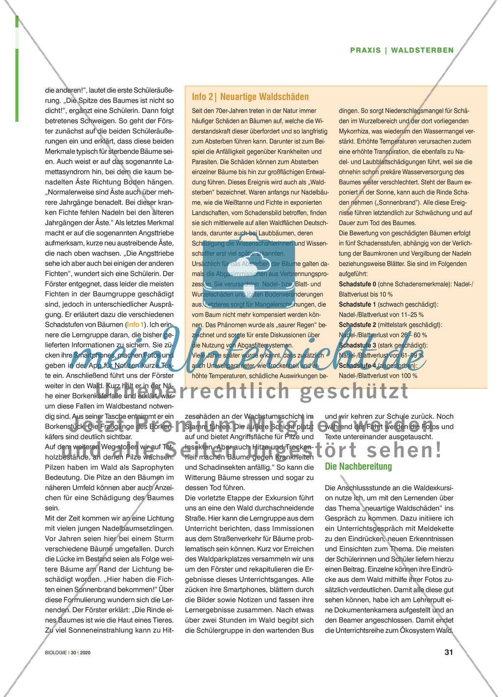 Und noch immer sterben die Wälder - Mit einem Förster neuartige Waldschäden kennenlernen Preview 2