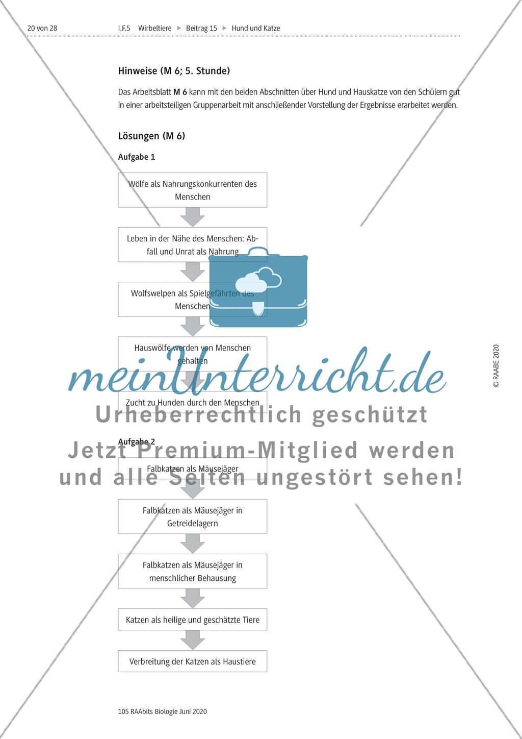 Domestizierung von Hund und Katze Preview 3