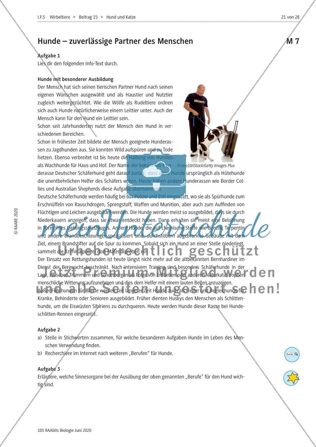 Hunde als Partner des Menschen und verantwortungsvolle Tierhaltung Preview 1