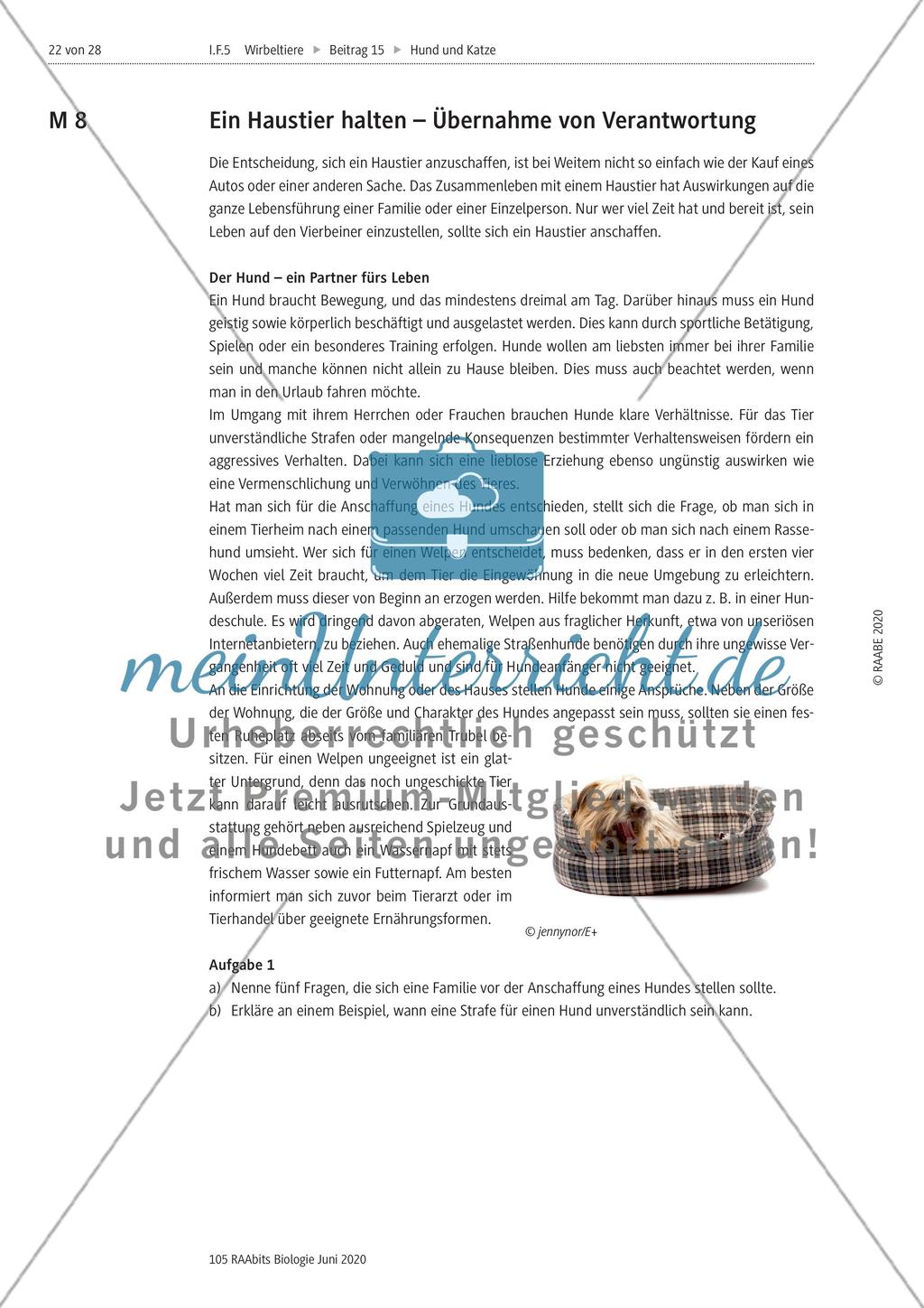 Hunde als Partner des Menschen und verantwortungsvolle Tierhaltung Preview 2