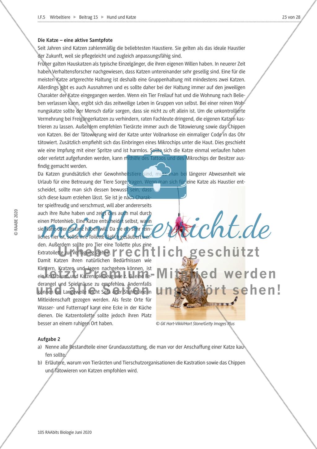Hunde als Partner des Menschen und verantwortungsvolle Tierhaltung Preview 3