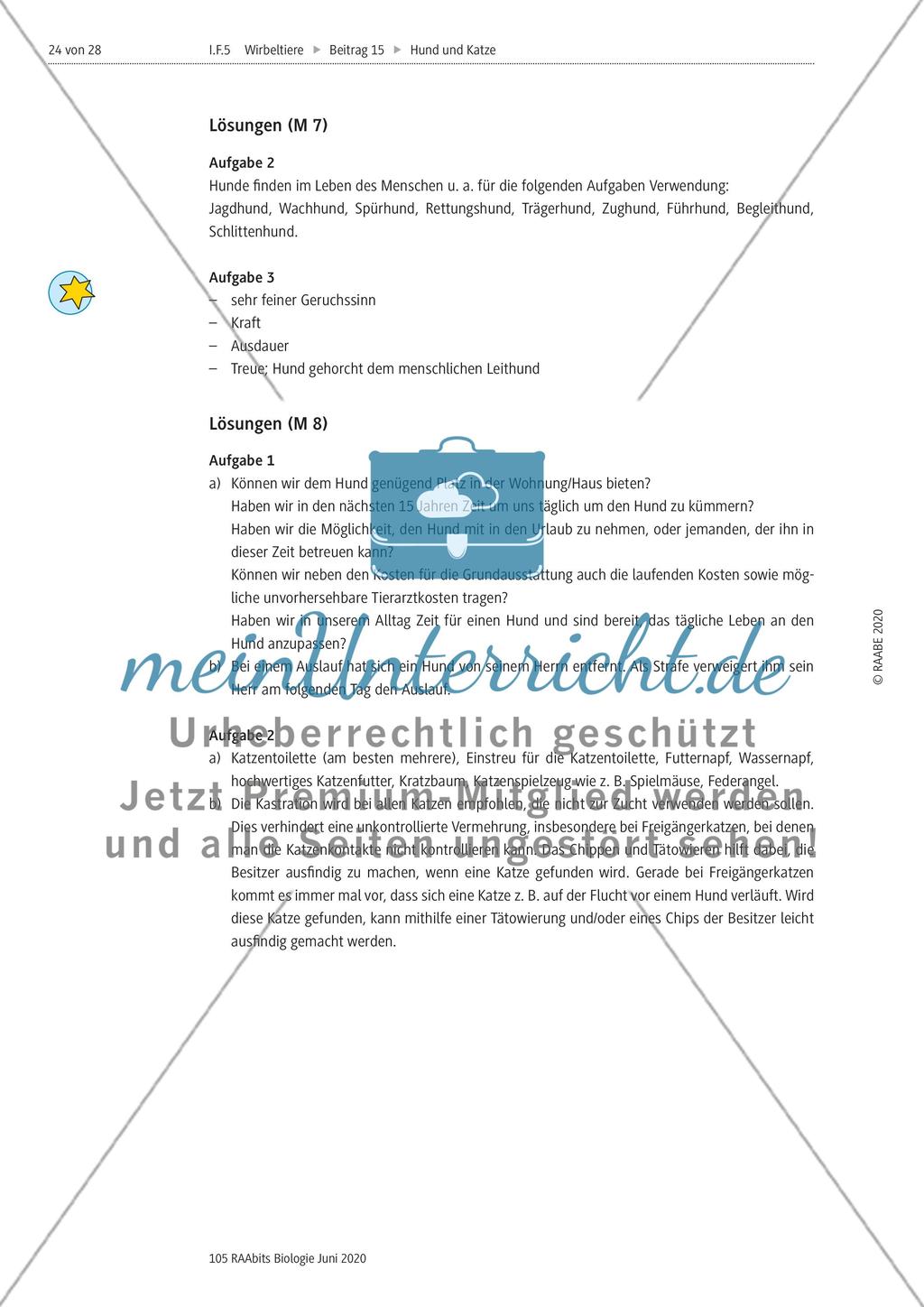 Hunde als Partner des Menschen und verantwortungsvolle Tierhaltung Preview 4