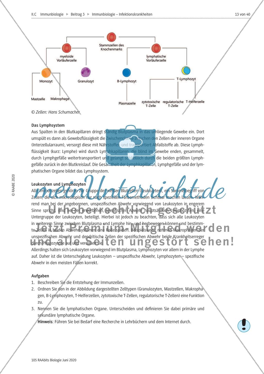Allgemeiner Überblick über das Immunsystem und die lymphatischen Organe Preview 2