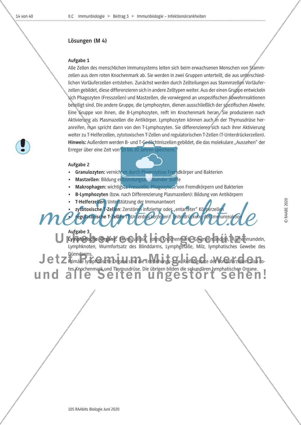 Allgemeiner Überblick über das Immunsystem und die lymphatischen Organe Preview 3