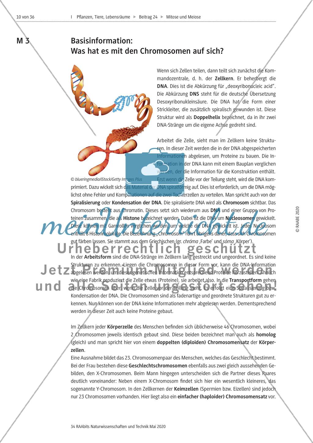 Mitose und Meiose erleben Preview 10