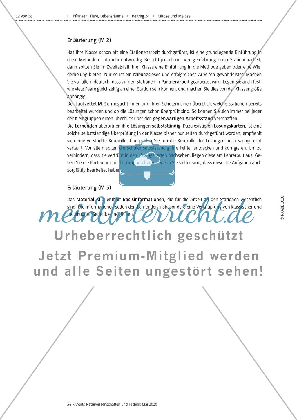 Mitose und Meiose erleben Preview 12