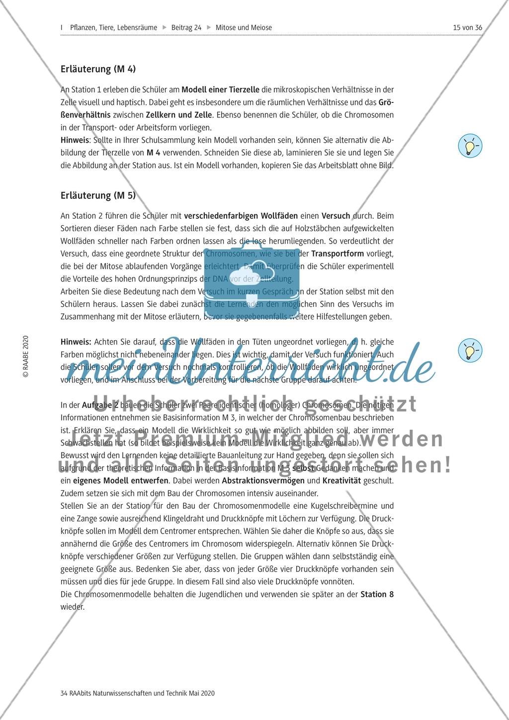 Mitose und Meiose erleben Preview 15