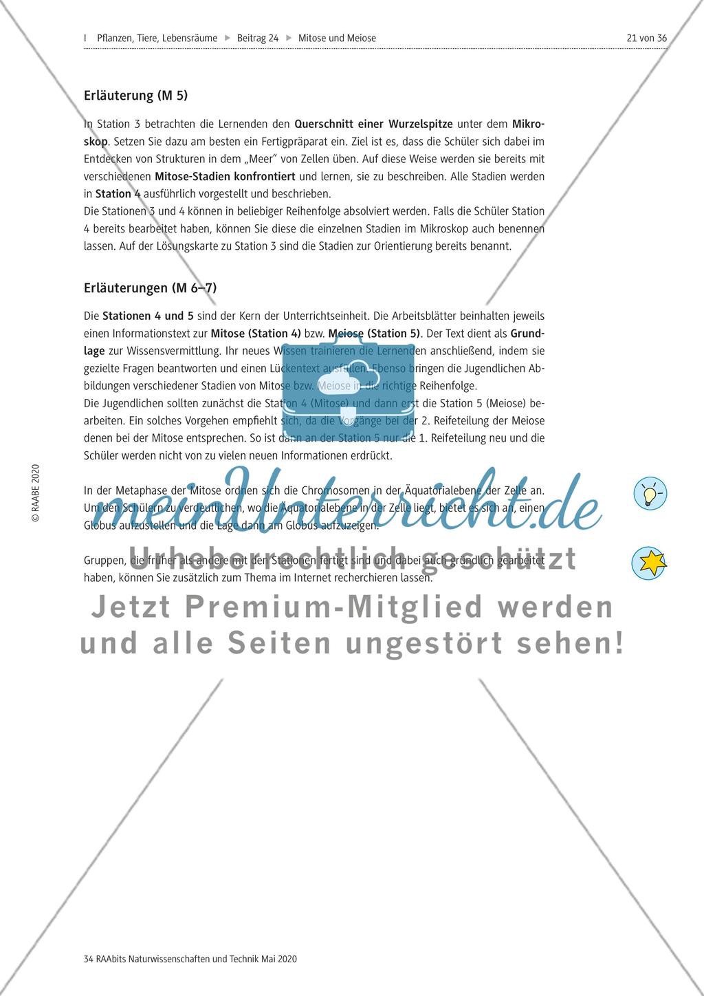 Mitose und Meiose erleben Preview 21
