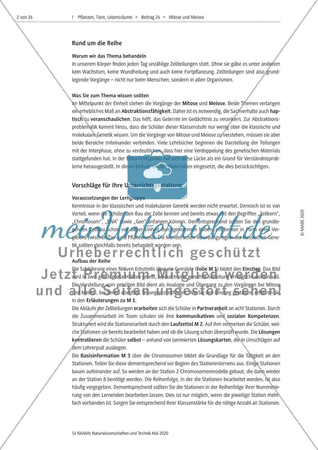 Mitose und Meiose erleben Preview 2
