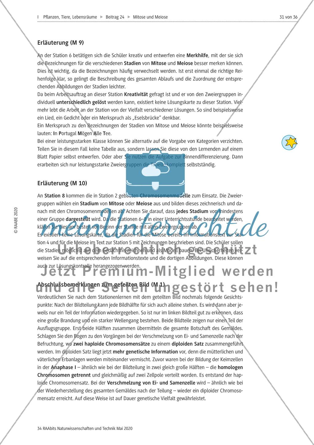 Mitose und Meiose erleben Preview 31