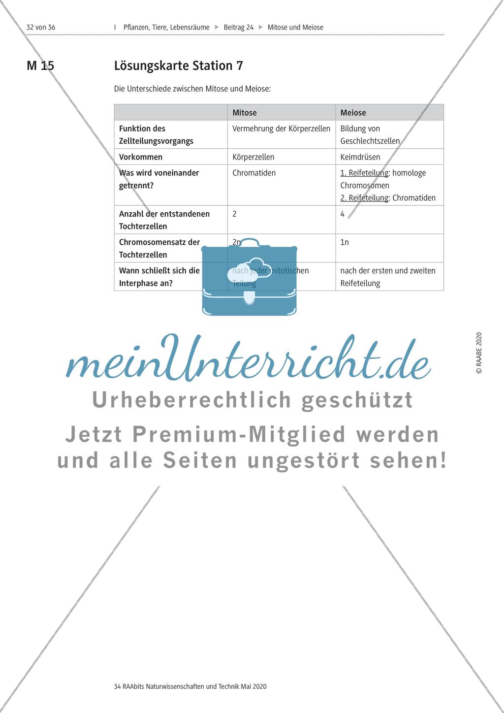 Mitose und Meiose erleben Preview 32