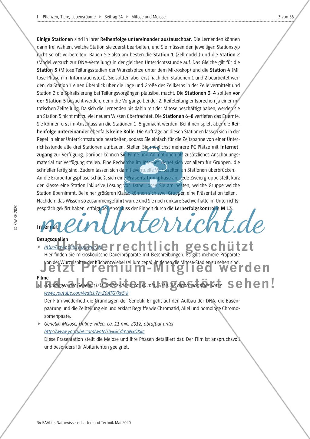 Mitose und Meiose erleben Preview 3