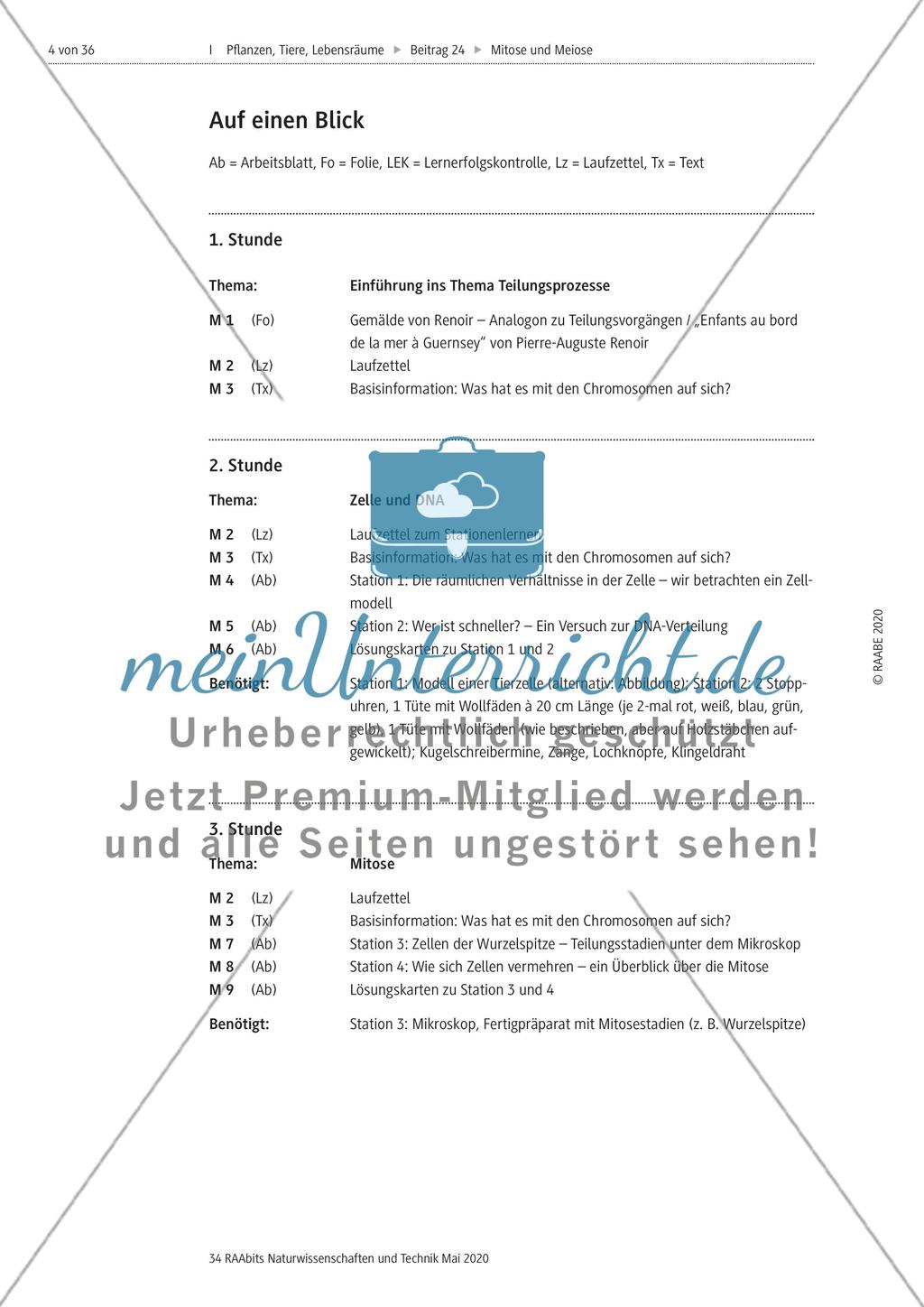 Mitose und Meiose erleben Preview 4