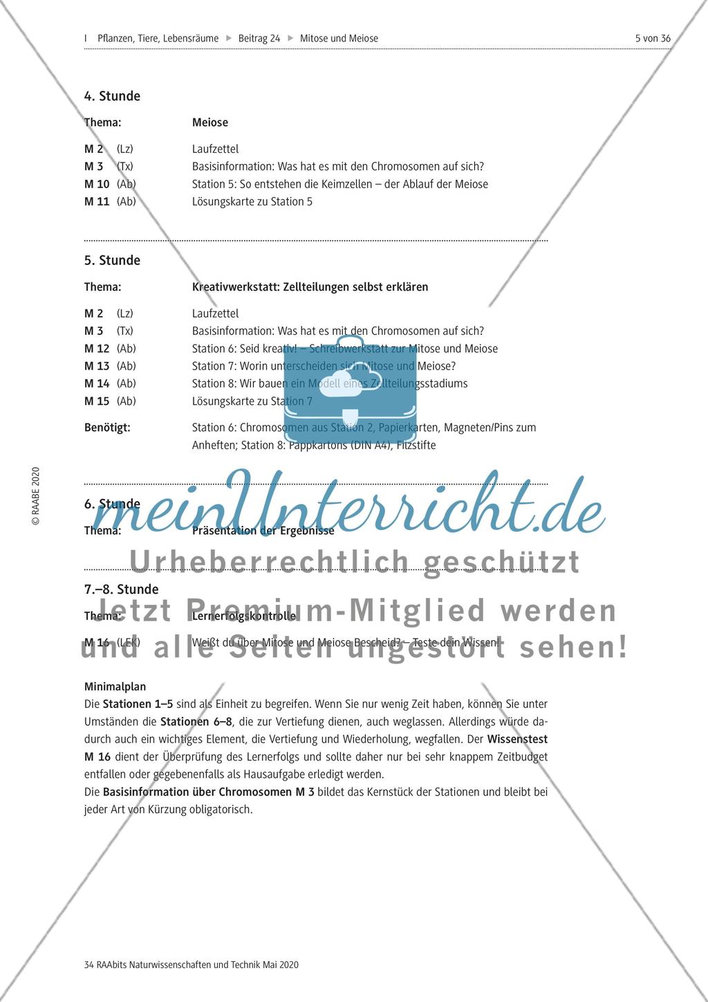 Mitose und Meiose erleben Preview 5