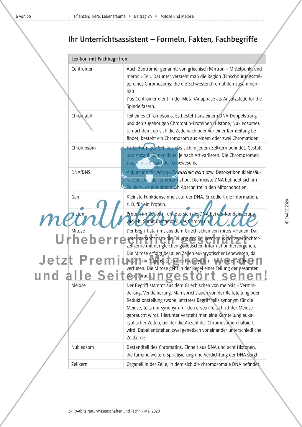 Mitose und Meiose erleben Preview 6