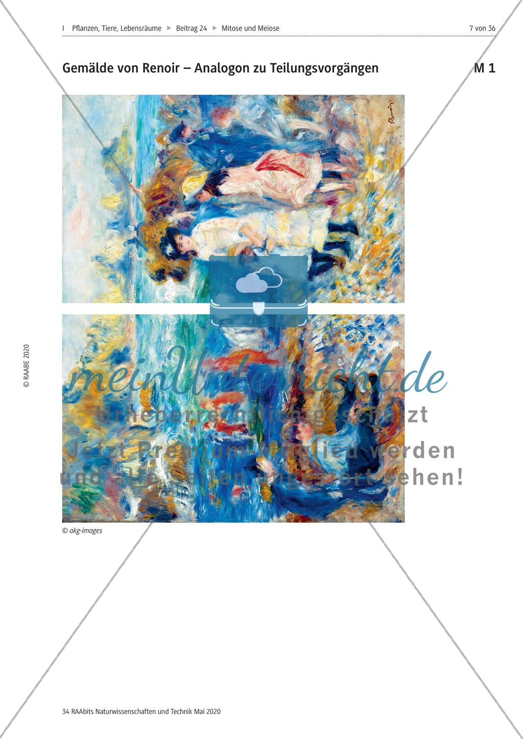 Mitose und Meiose erleben Preview 7