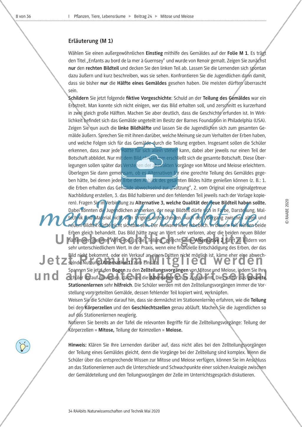 Mitose und Meiose erleben Preview 8