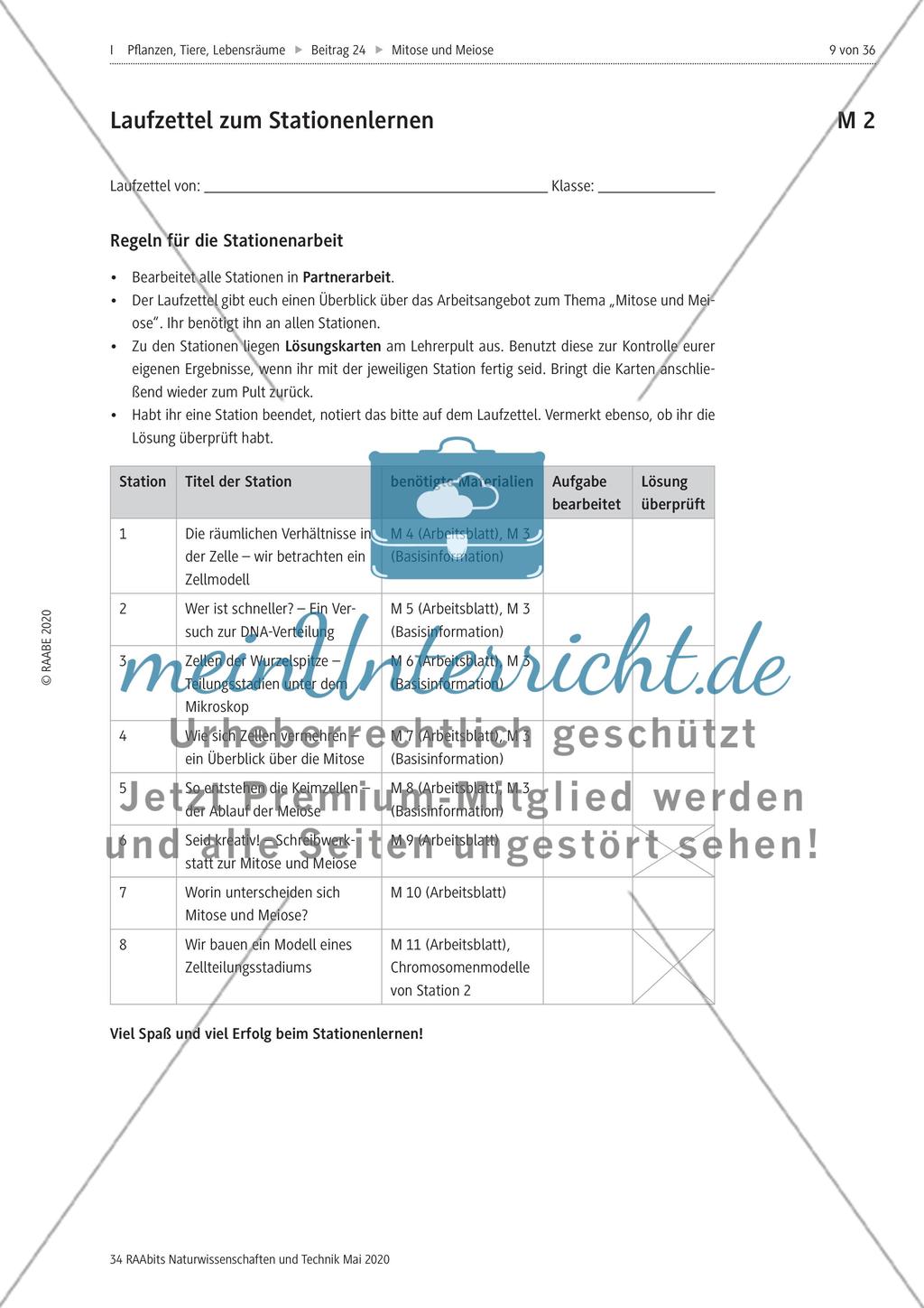 Mitose und Meiose erleben Preview 9