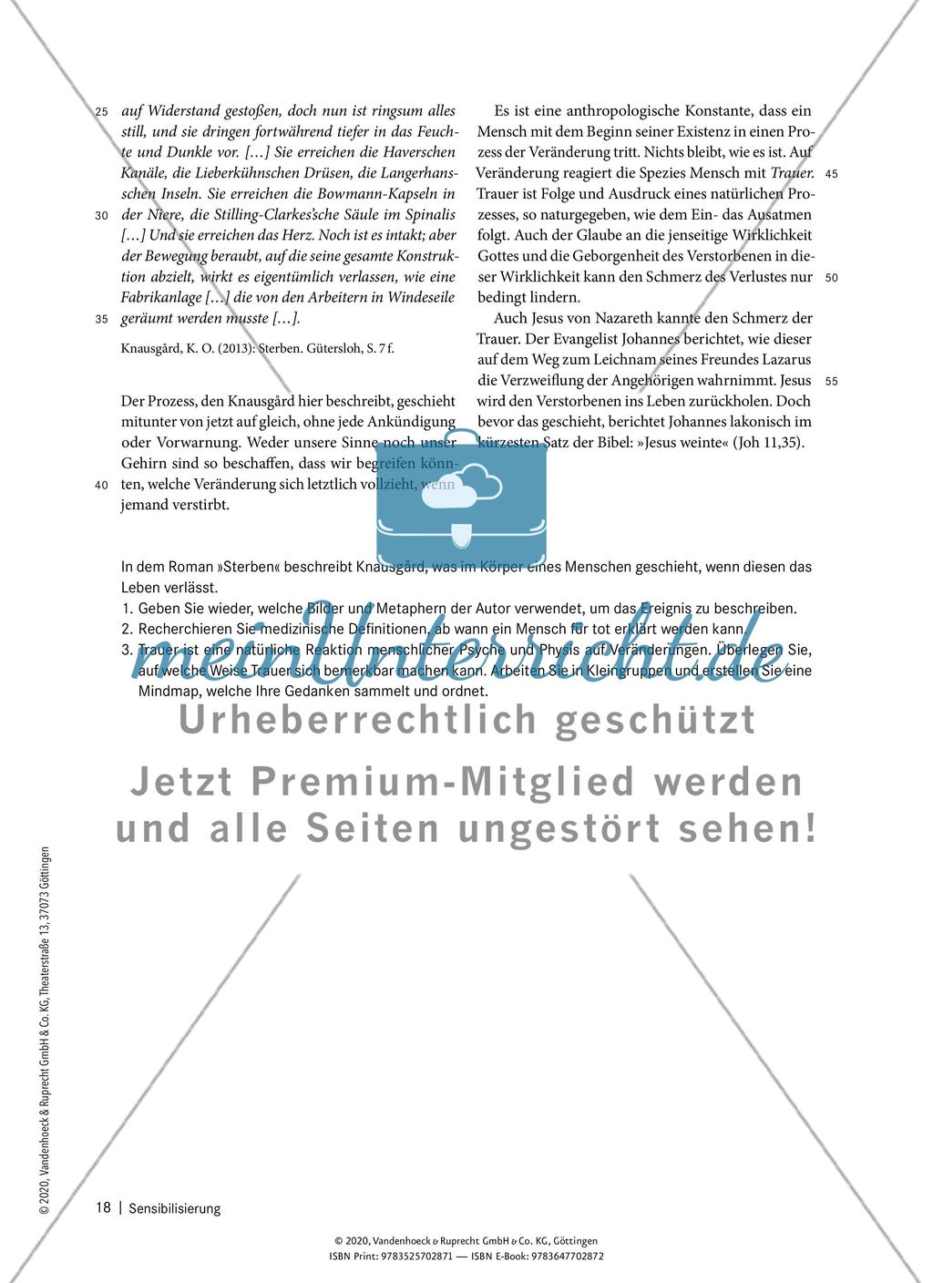 Sensibilisierung Preview 6