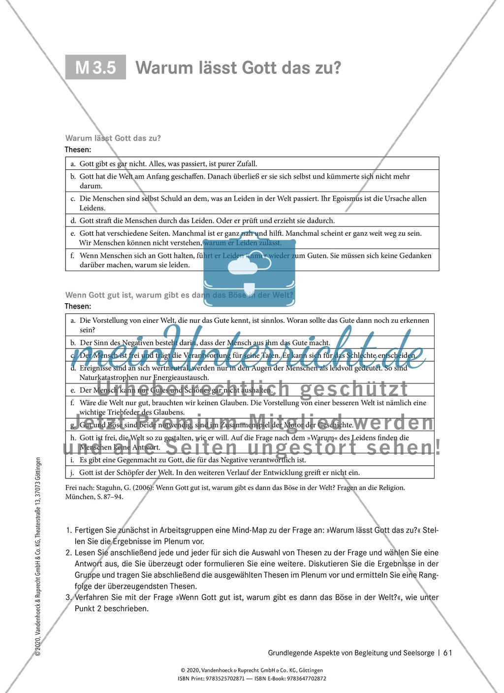 Grundlegende Aspekte von Begleitung und Seelsorge Preview 11