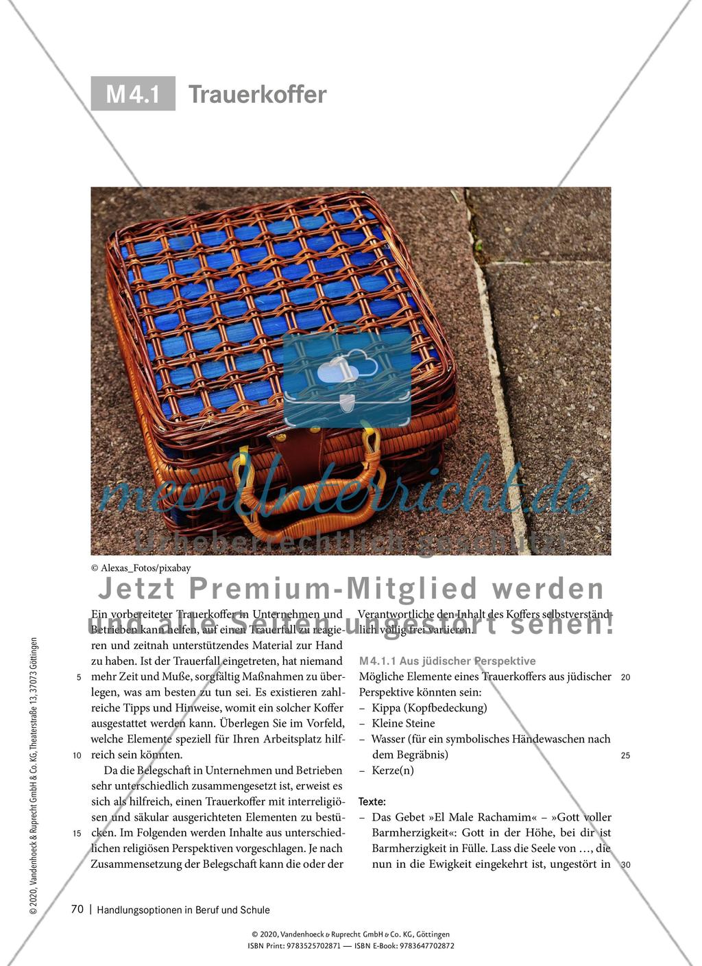 Handlungsoptionen in Beruf und Schule - M 4.1 - 4.5 Preview 2