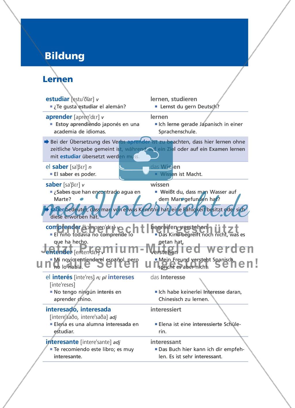 Bildung Preview 1
