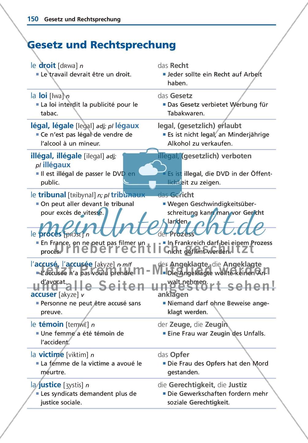 Gesellschaft und Staat Preview 10