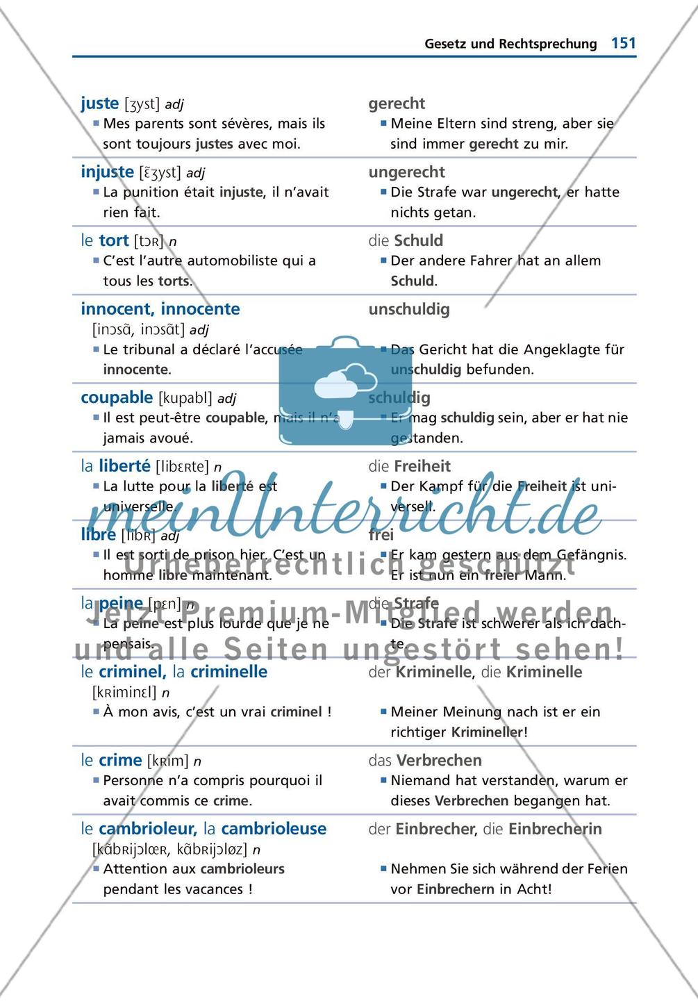 Gesellschaft und Staat Preview 11