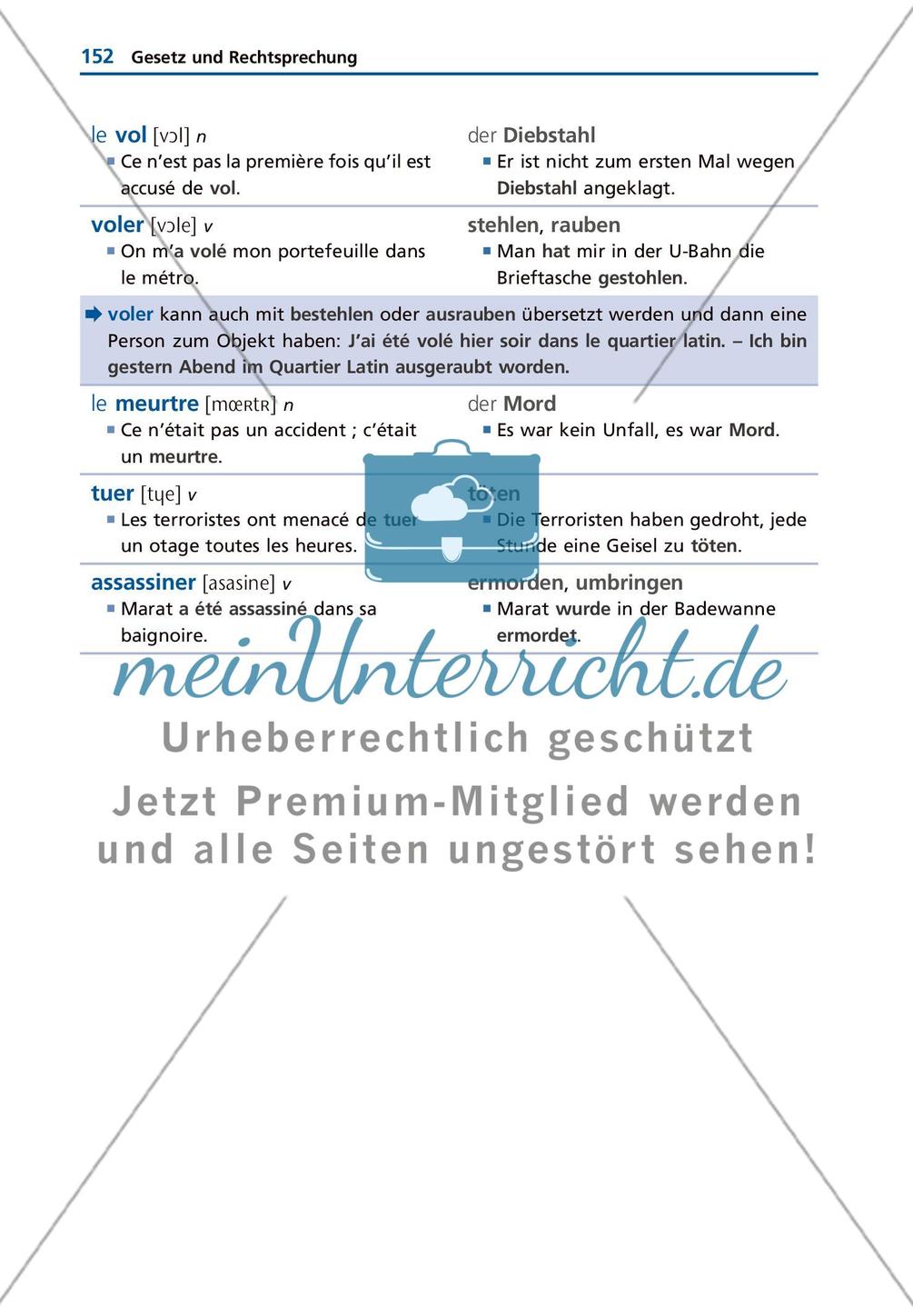 Gesellschaft und Staat Preview 12