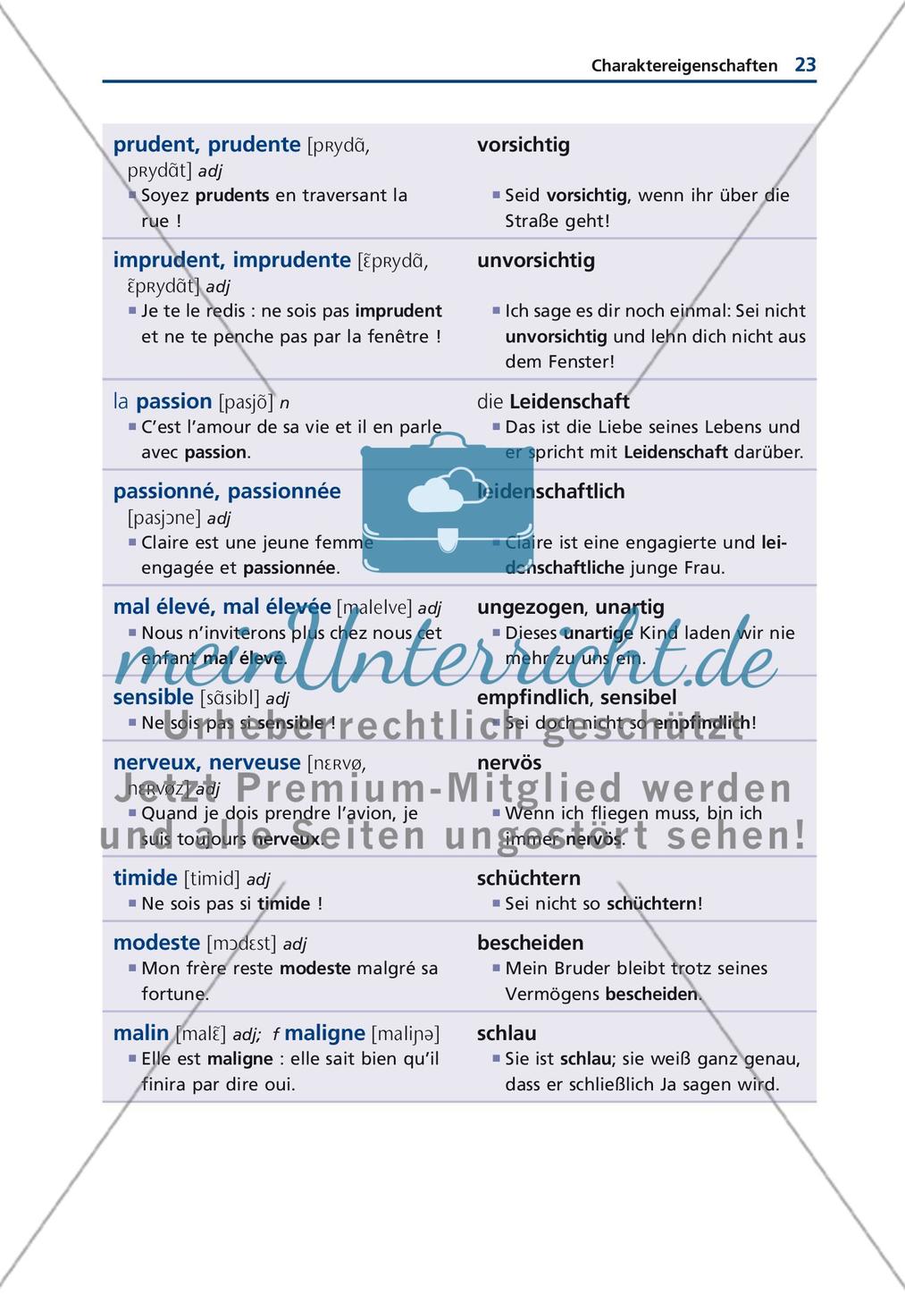 Persönlichkeit Preview 9
