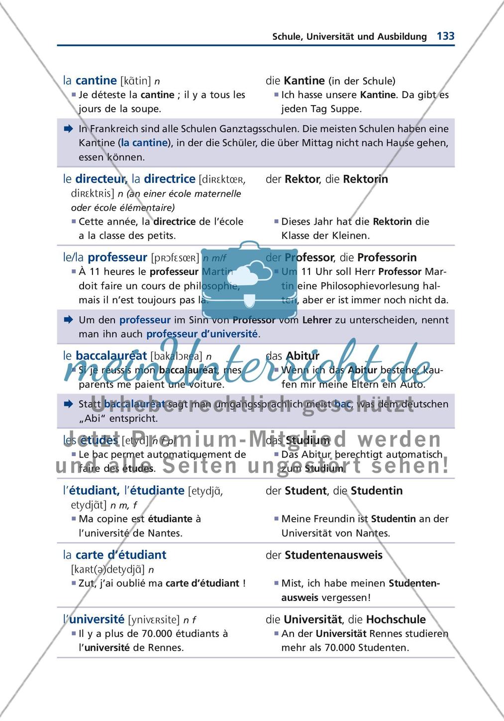 Bildung Preview 16