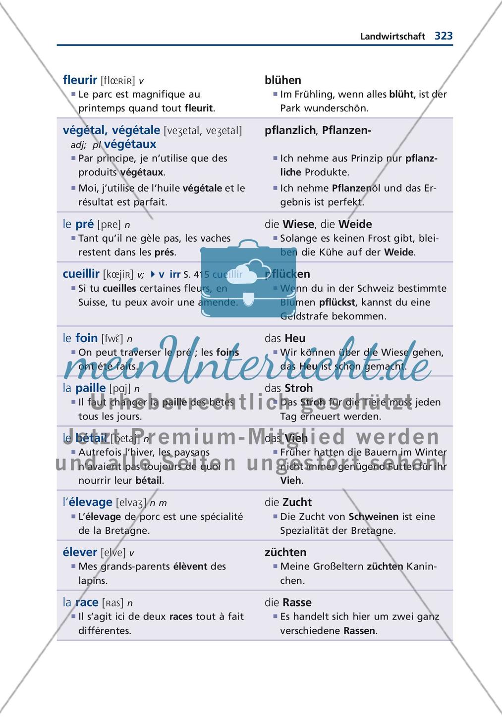 Wirtschaft, Technik und Forschung Preview 10