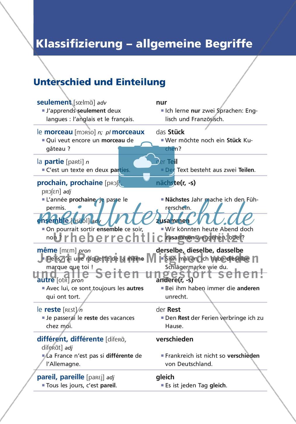 Klassifizierung - allgemeine Begriffe Preview 1