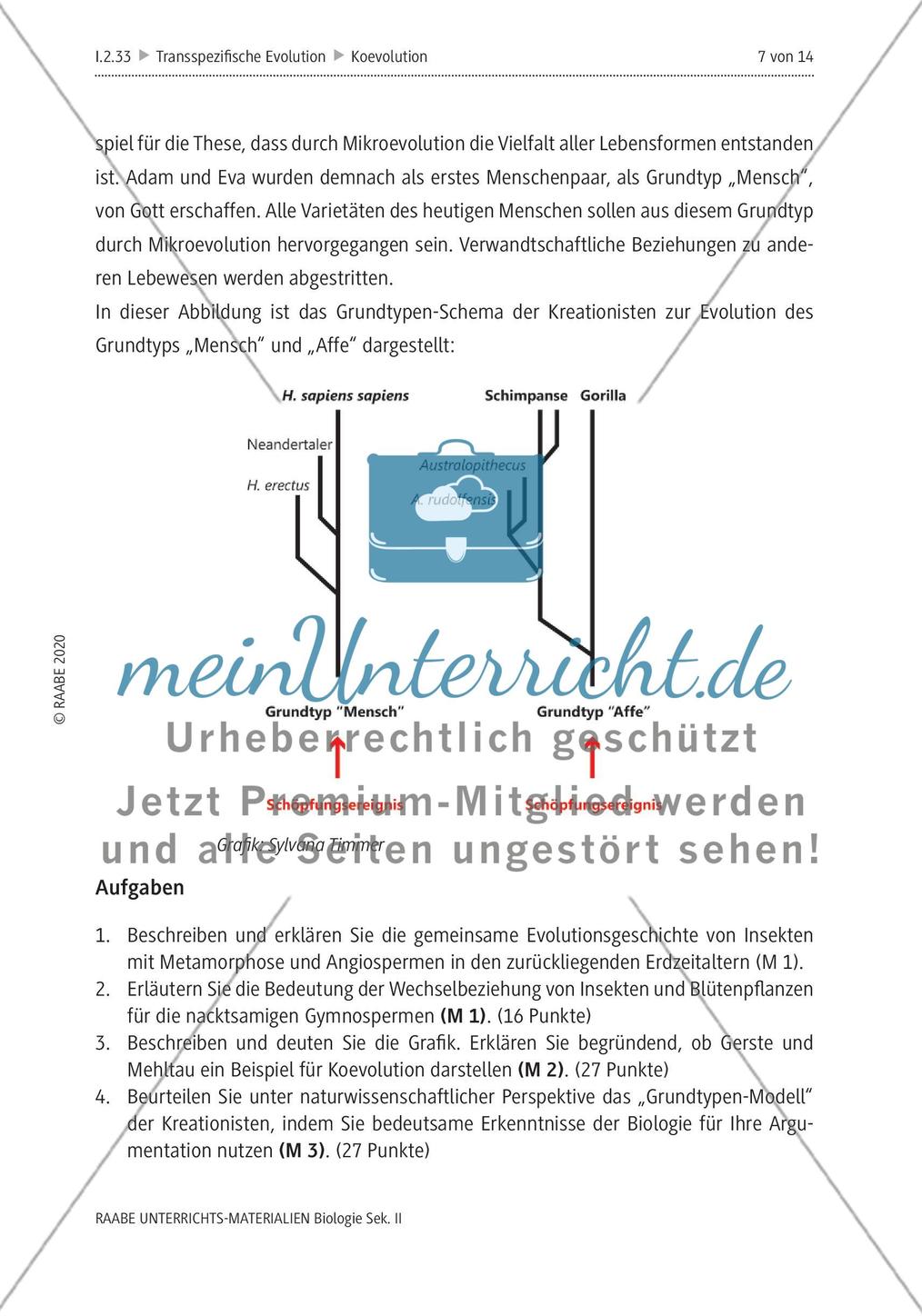 Evolution und Schöpfungsmythos – Leistungsaufgabe zur Koevolution Preview 11