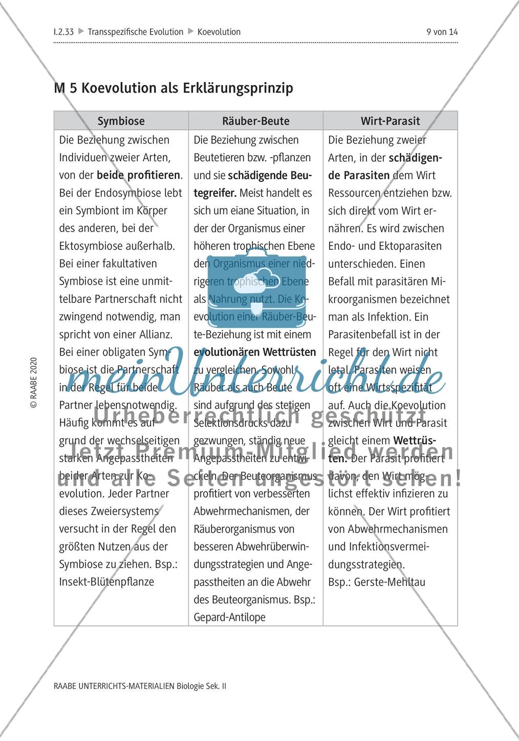 Evolution und Schöpfungsmythos – Leistungsaufgabe zur Koevolution Preview 13