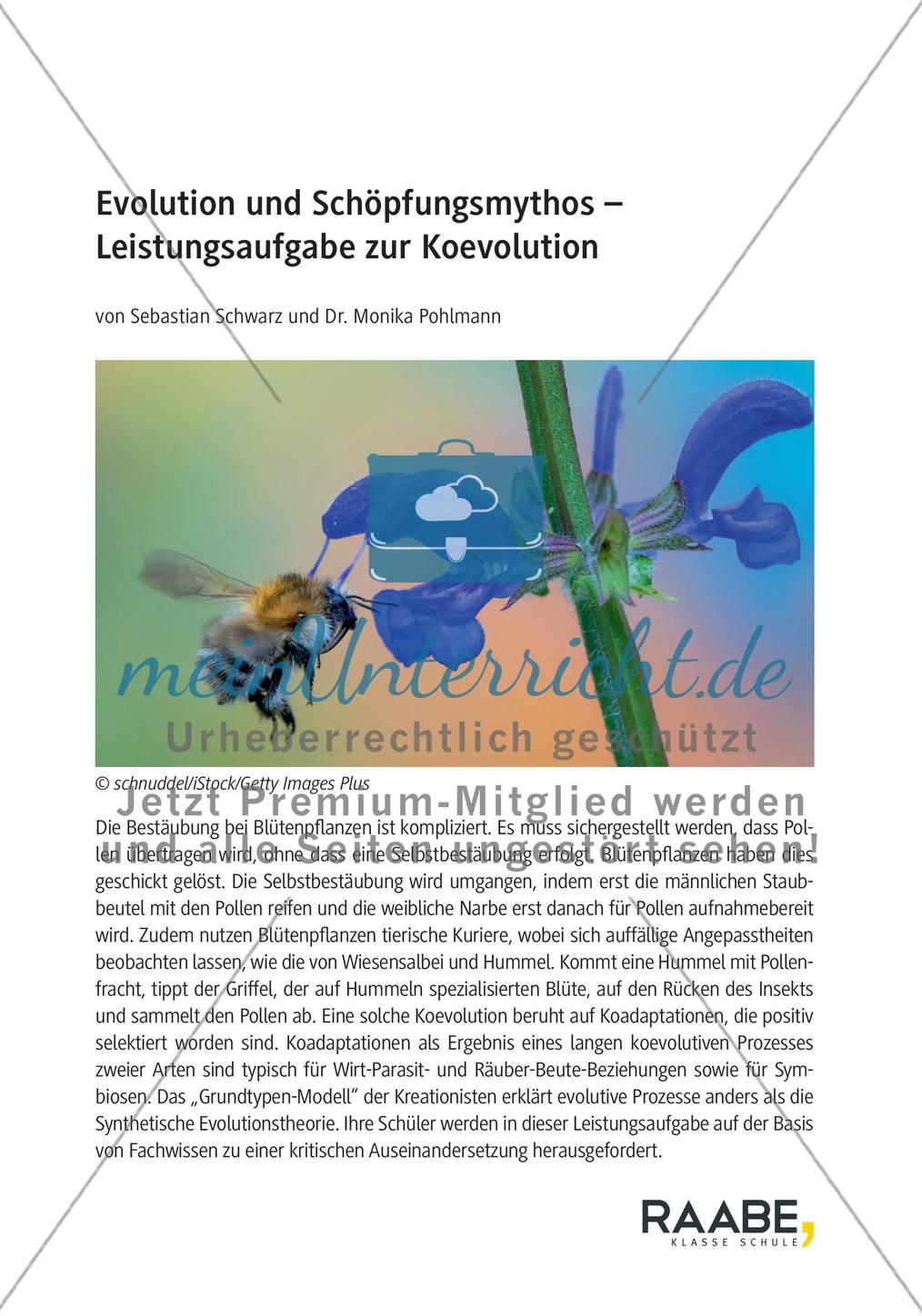 Evolution und Schöpfungsmythos – Leistungsaufgabe zur Koevolution Preview 1