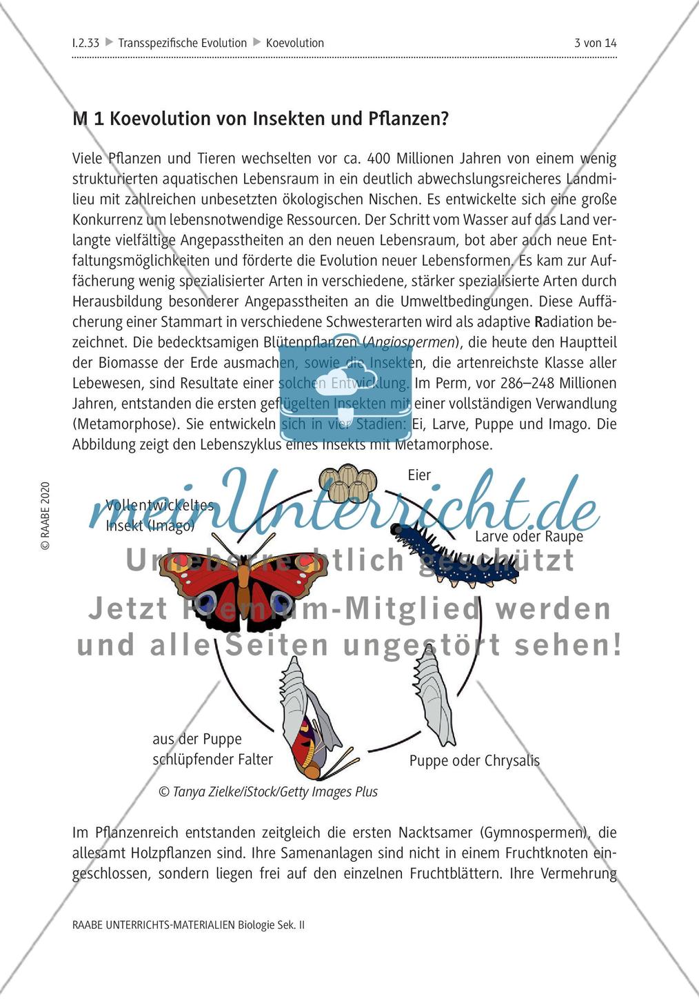Evolution und Schöpfungsmythos – Leistungsaufgabe zur Koevolution Preview 7