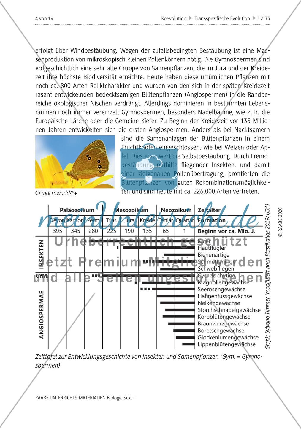 Evolution und Schöpfungsmythos – Leistungsaufgabe zur Koevolution Preview 8