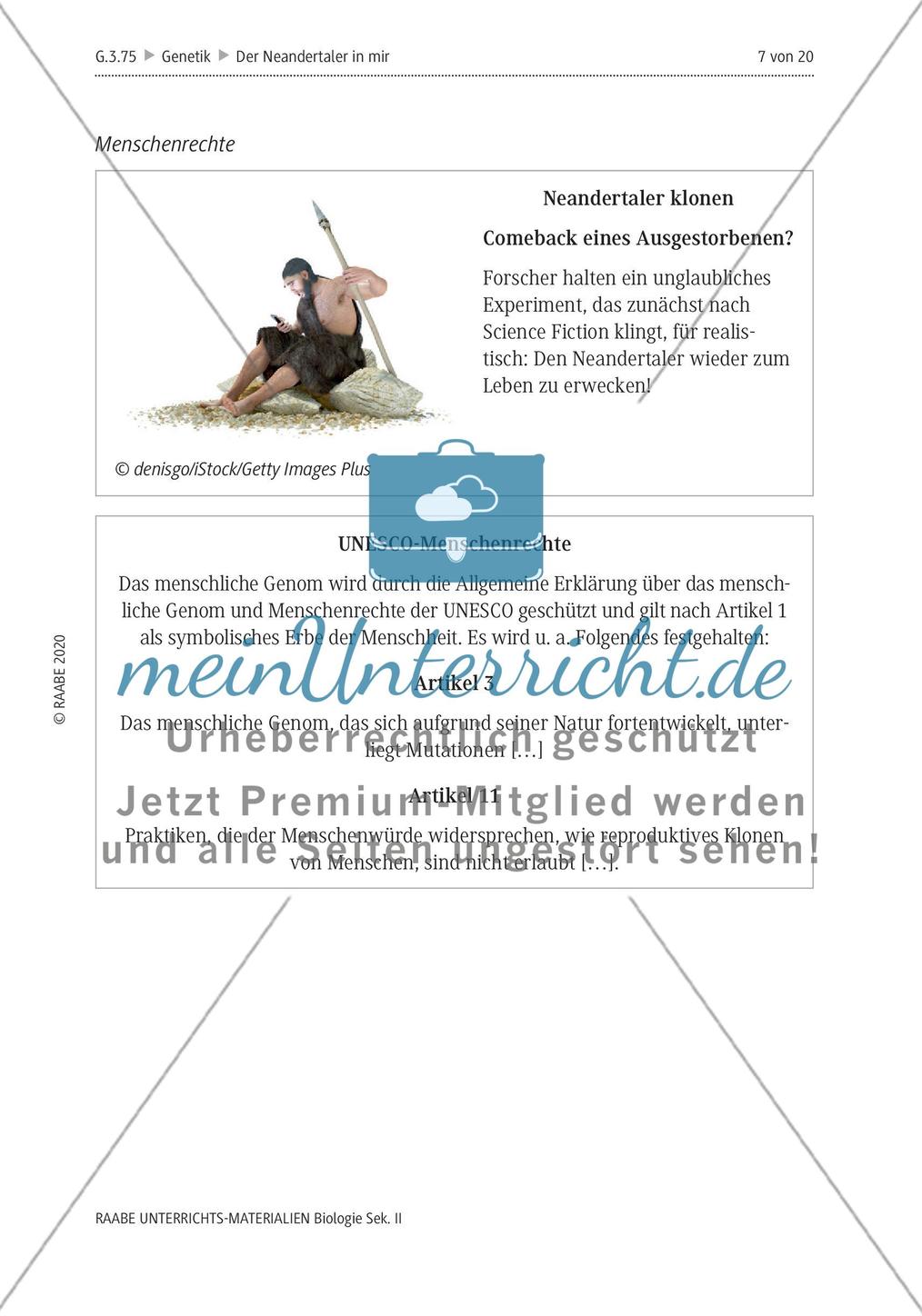 Der Neandertaler in mir – Genetisches Erbe im modernen Menschen Preview 11