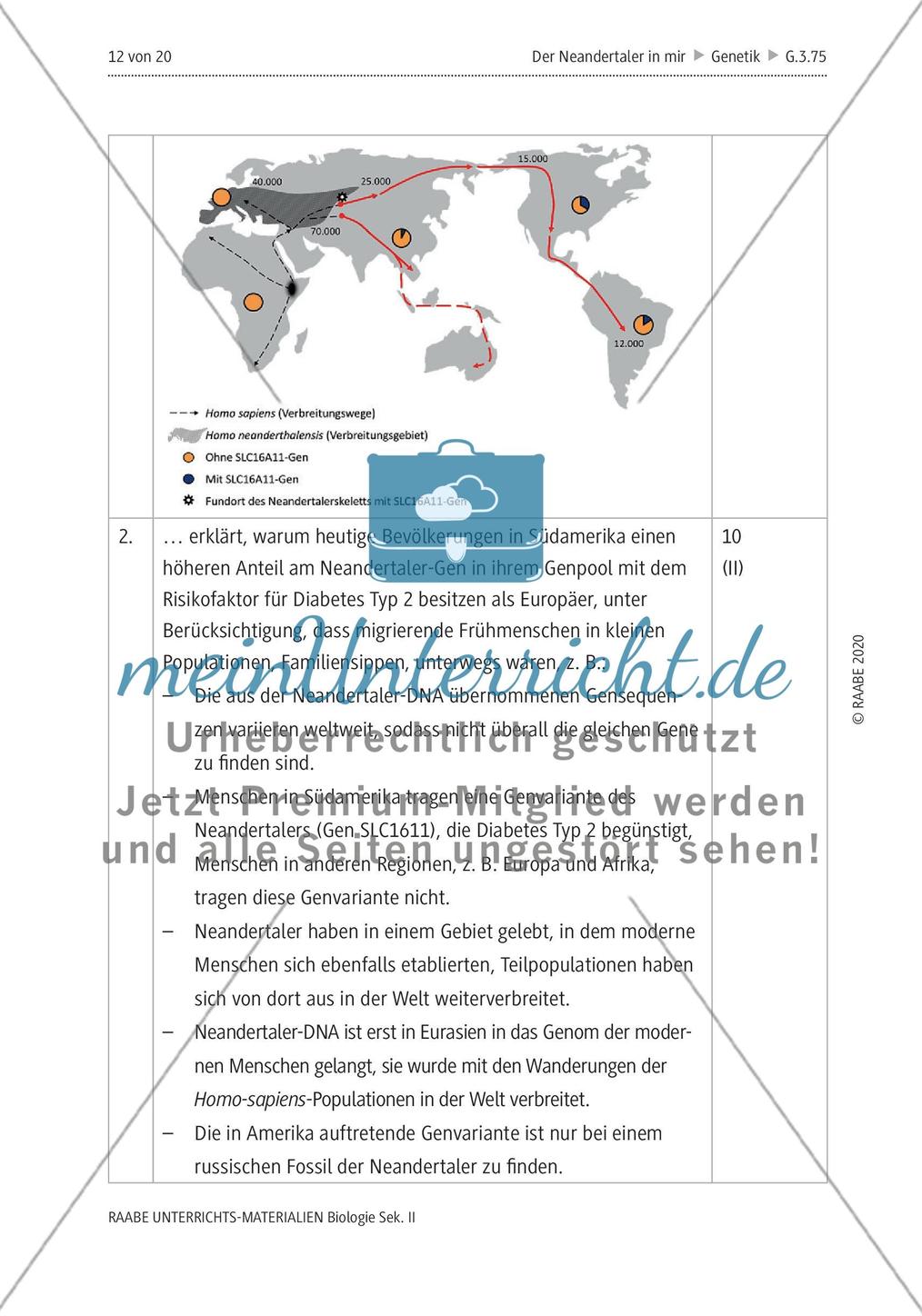 Der Neandertaler in mir – Genetisches Erbe im modernen Menschen Preview 16
